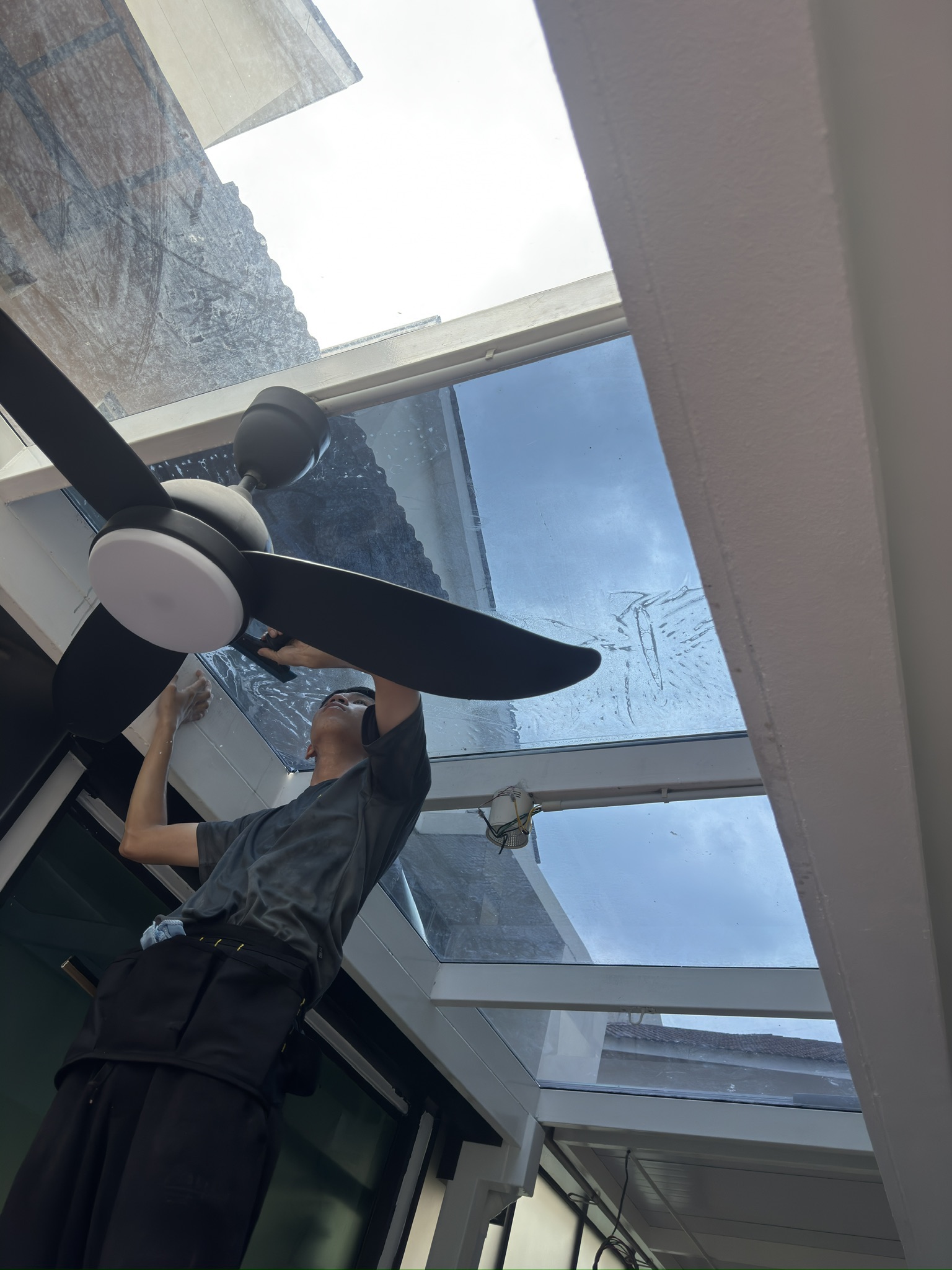 Skyroof Tinted