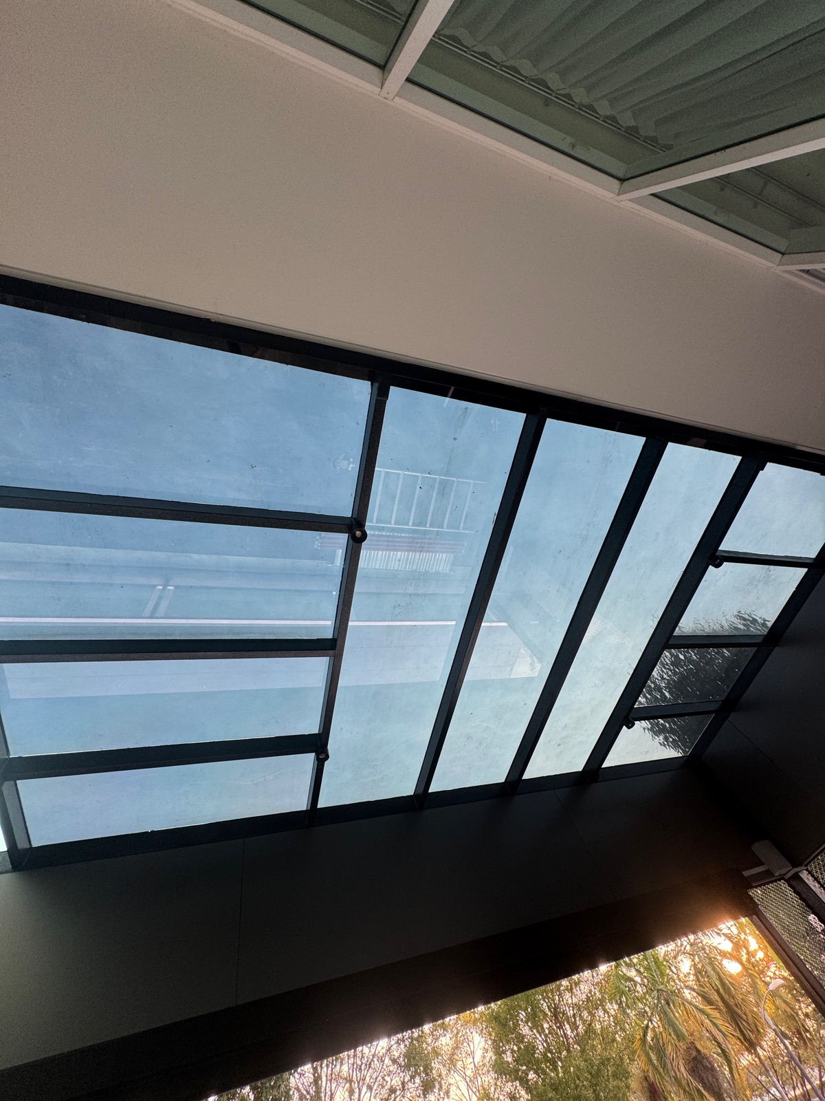Skyroof Tinted