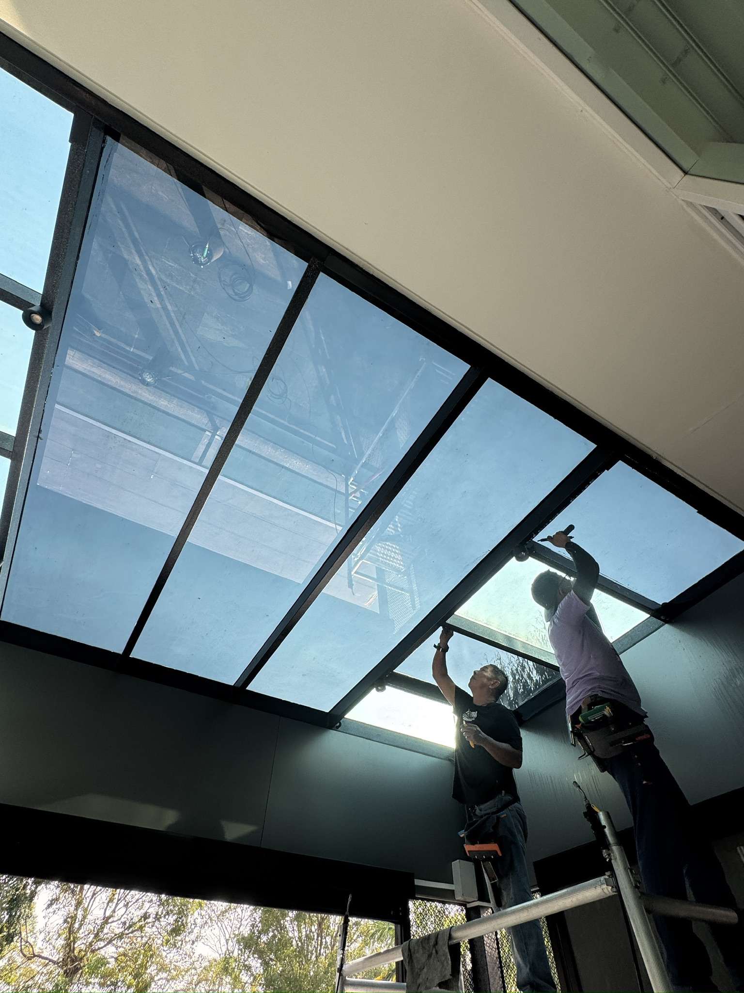 Skyroof Tinted