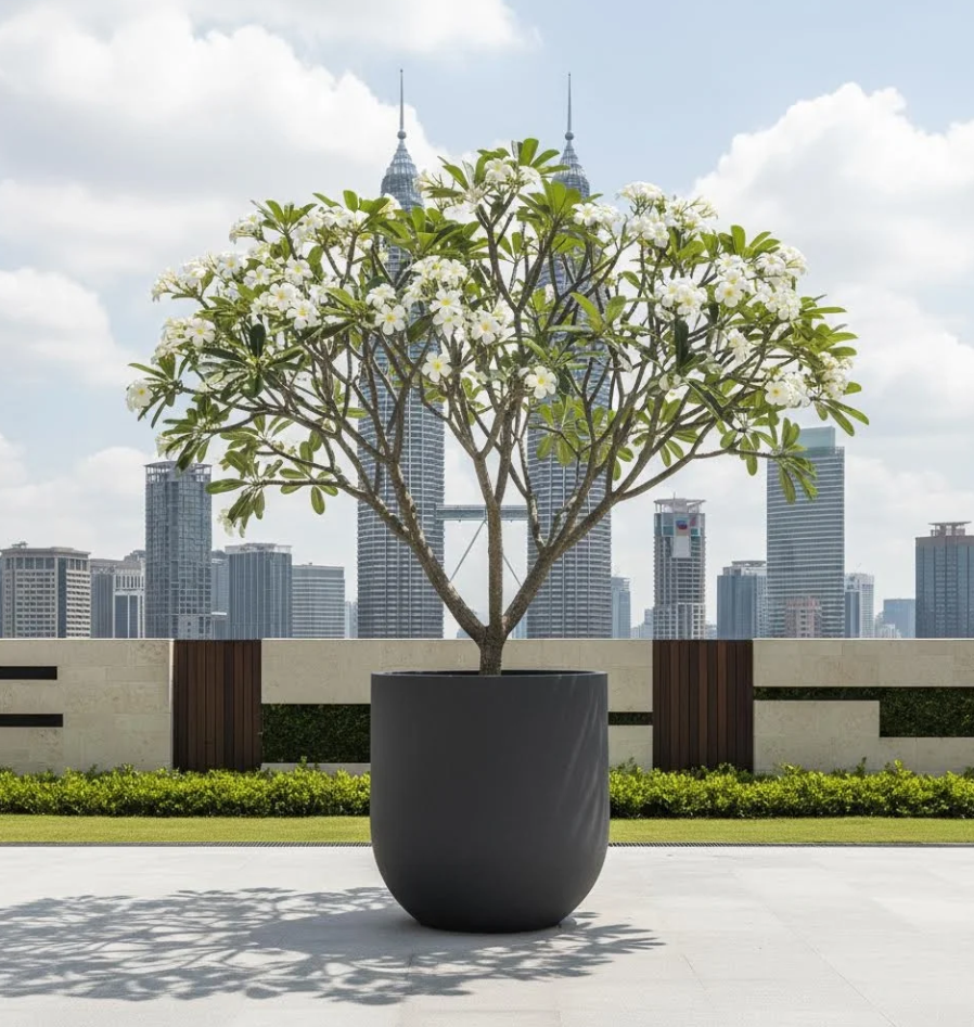 Flowerpot Specialist Malaysia - Potco Base 