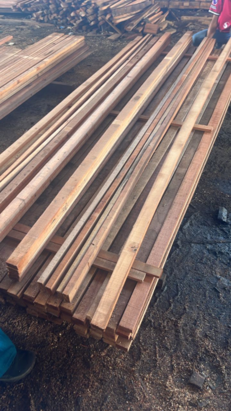 kayu timber supplier JB 