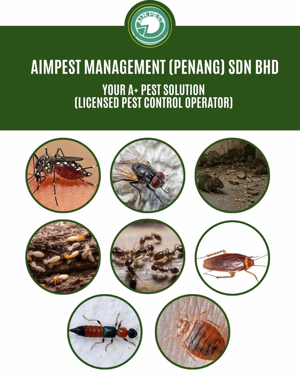 AIMPEST MANAGEMENT (PENANG) SDN BHD