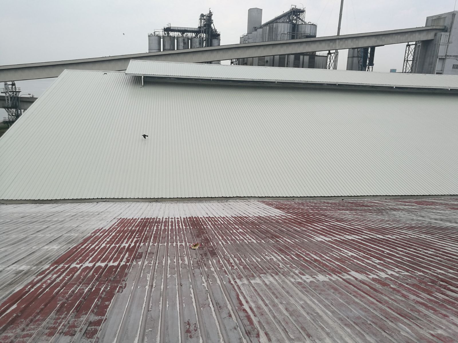 Roof Coating Work Completed At 1st Zone And Moving On To The Following Zone