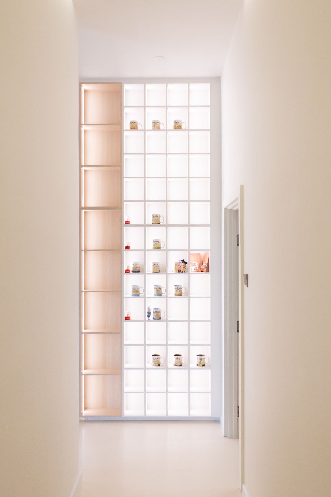 Custom Display Cabinet & Storage Cabinet With Integrated Lighting