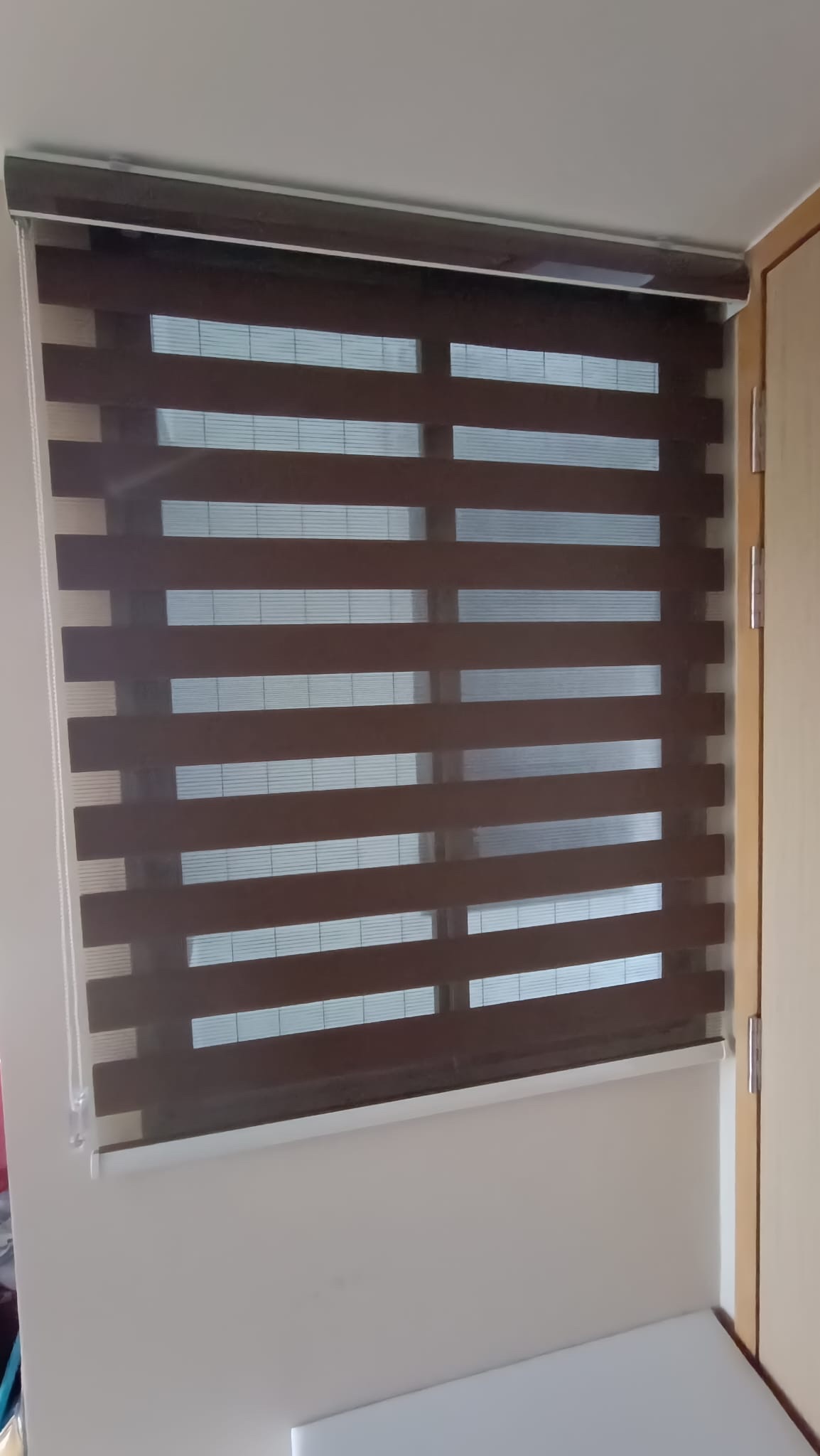 Zebra Blind Curtain