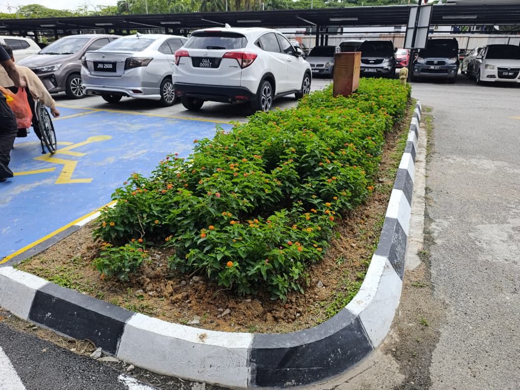 Nursery Hong Soon Sdn Bhd