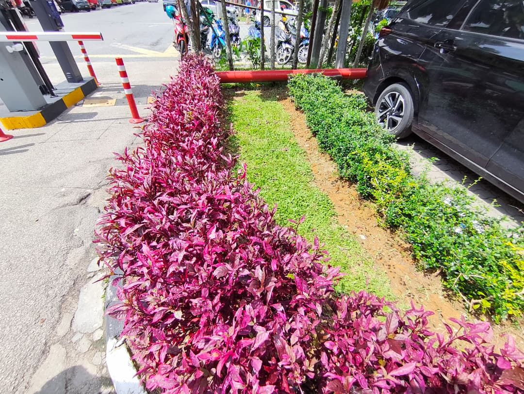 Nursery Hong Soon Sdn Bhd