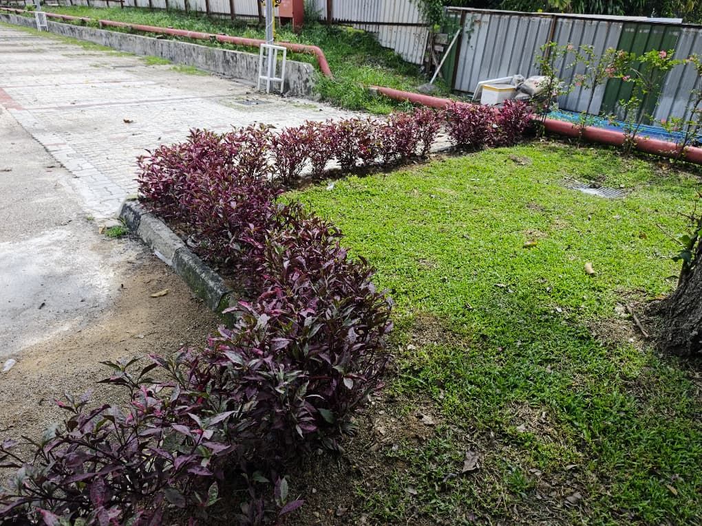 Nursery Hong Soon Sdn Bhd