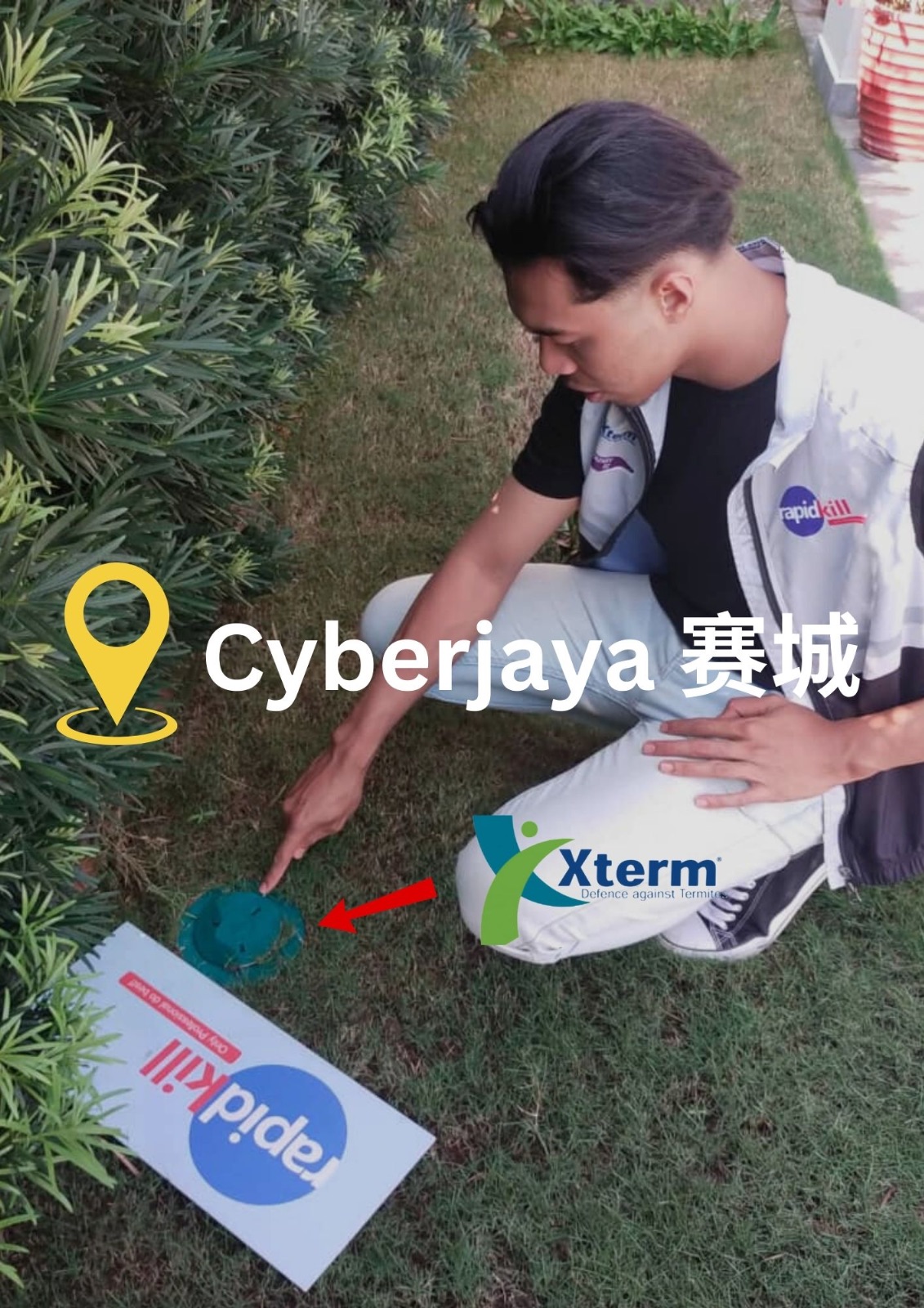 Xterm Baiting System — Cyberjaya