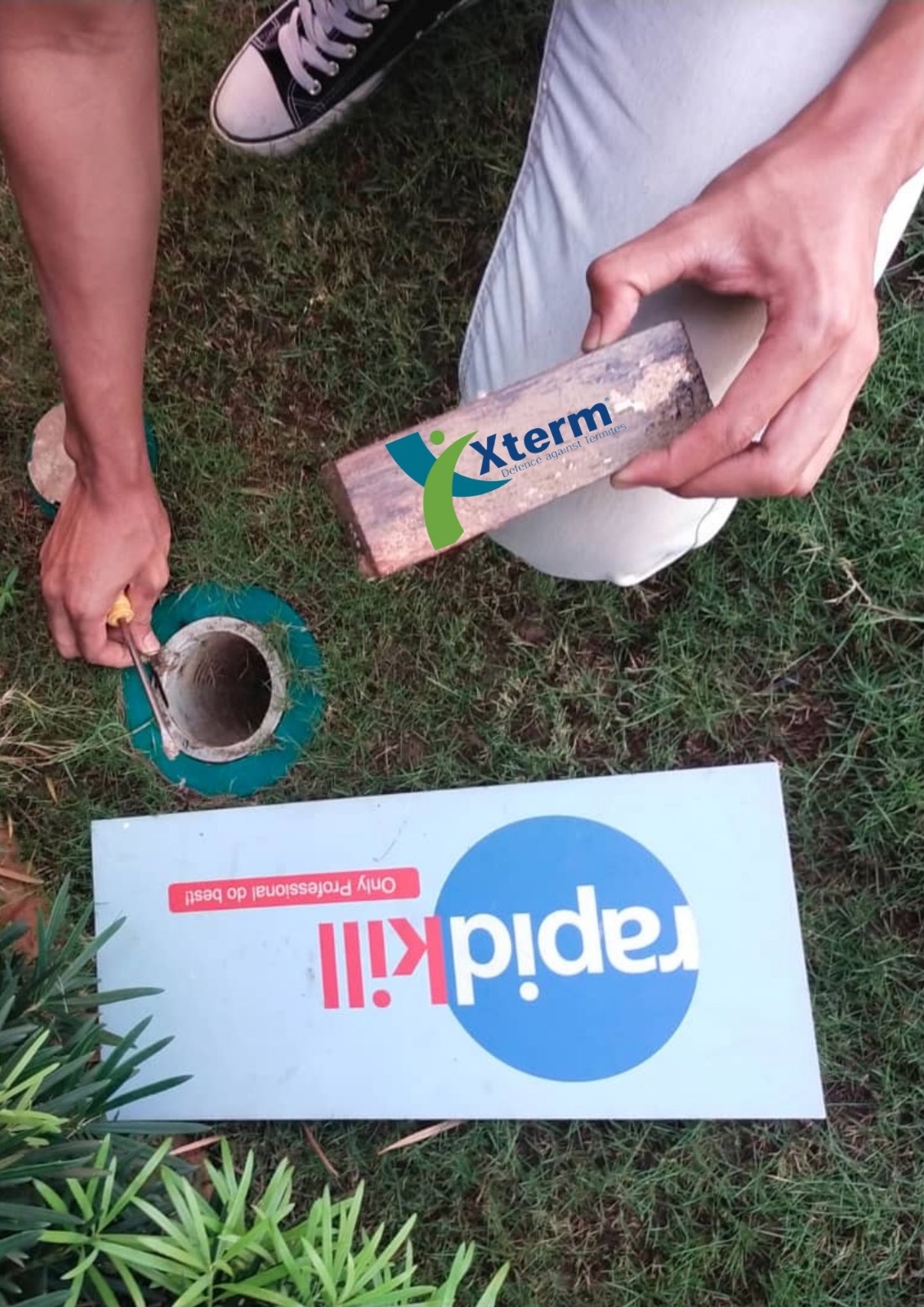 Xterm Baiting System — Cyberjaya