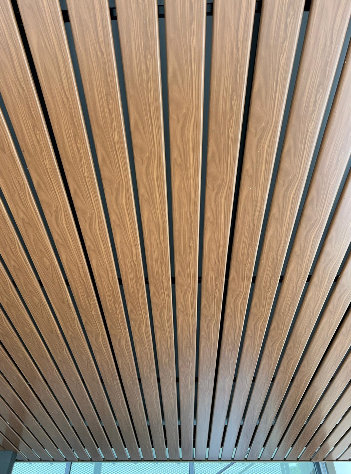 Series 05