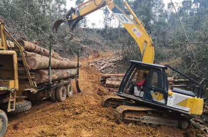 Land Clearing