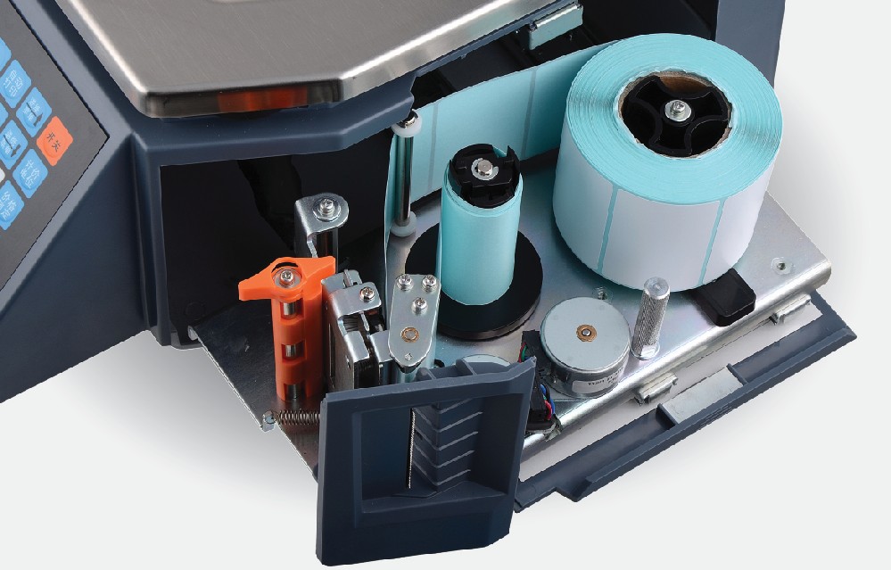 RLS 1000 1100 weight scale main view placeholder