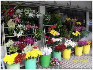 Florist in KL, Florist Shop KL