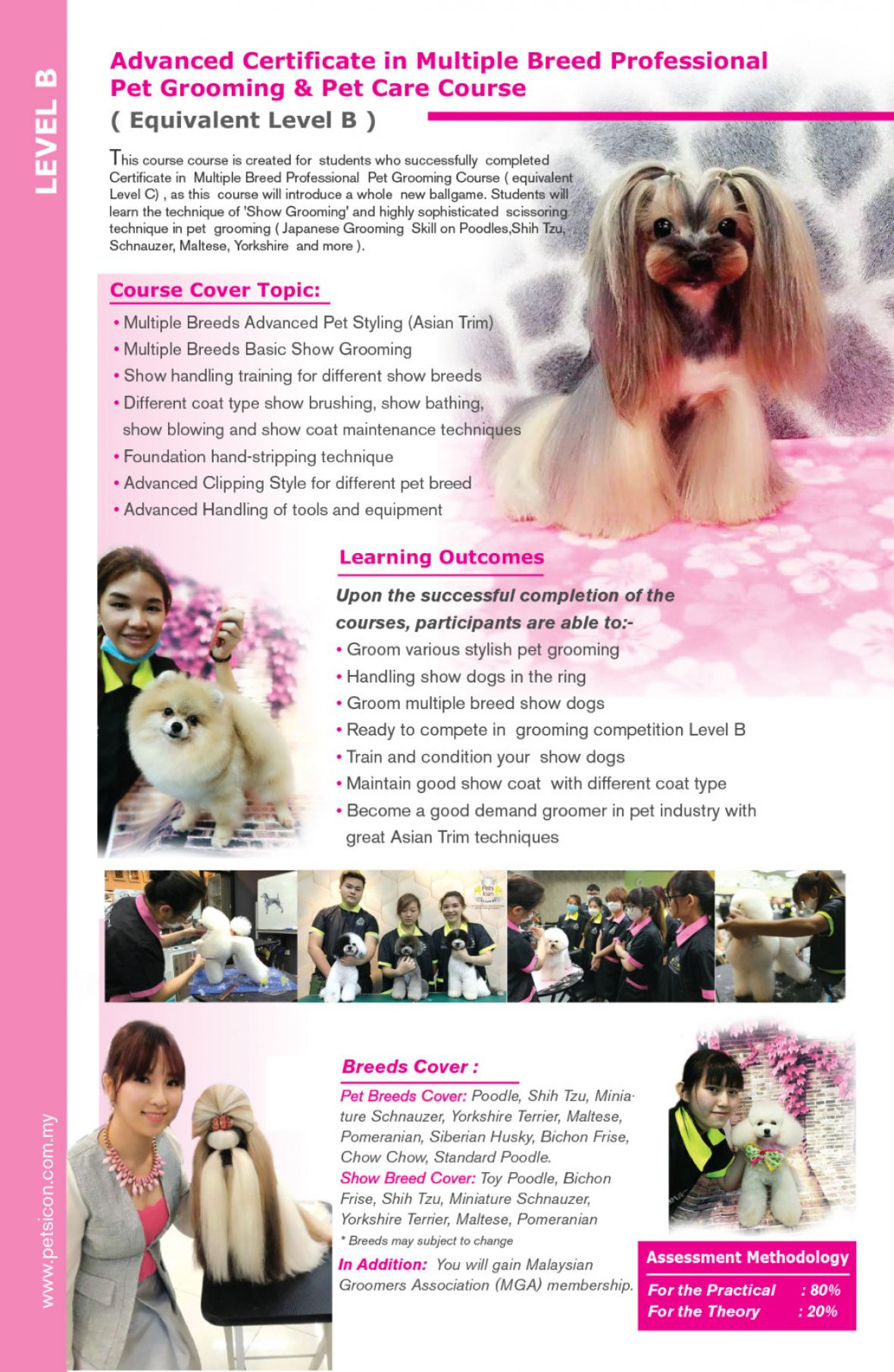 pet grooming courses