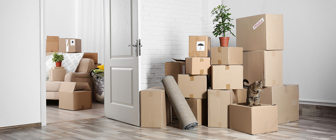 Malaysia To Singapore Mover Service Home Moving Services