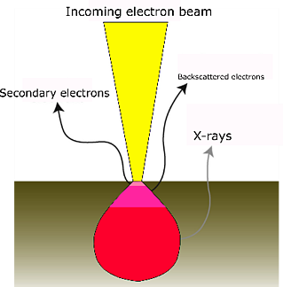 sem technology