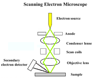 scanning electron microscope block diagram