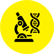 Microscope