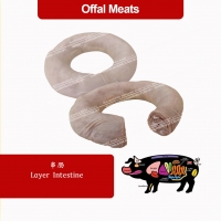 LAYER INTESTINE