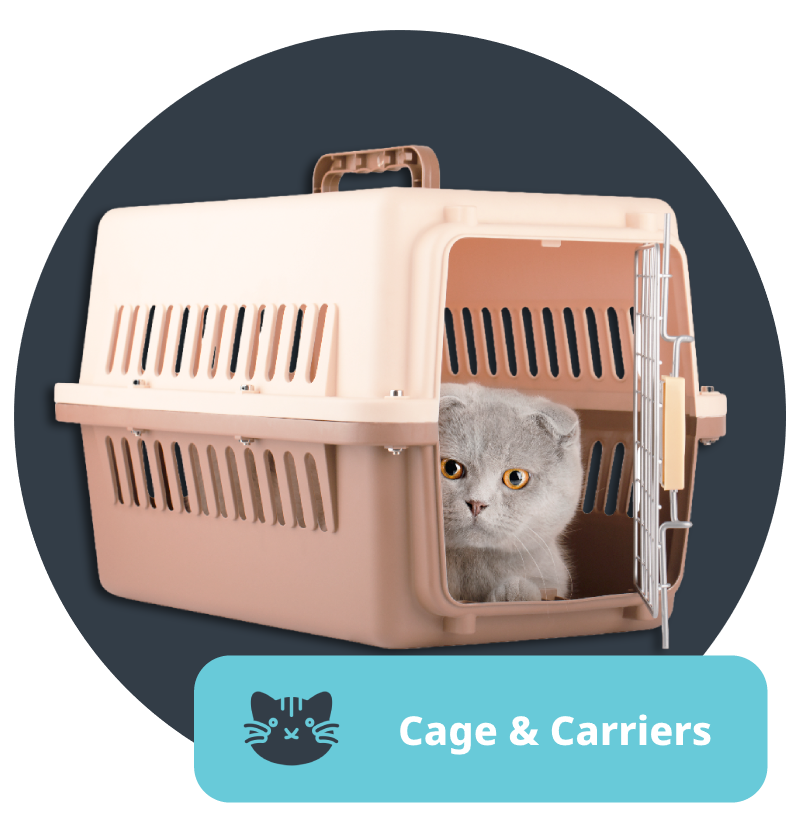 Cate Cage