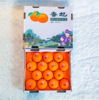 Xiang Fei Mikan Gift Box 28pcs/box (Honey Tangerine)