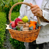 Classic Fruit Basket