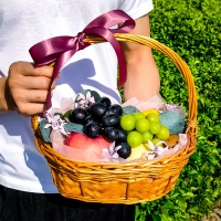 All In One Fruit Basket