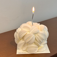 Edible Wafer Paper Cake Design