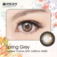 Blincon DD 3 Months Color Contact Lenses