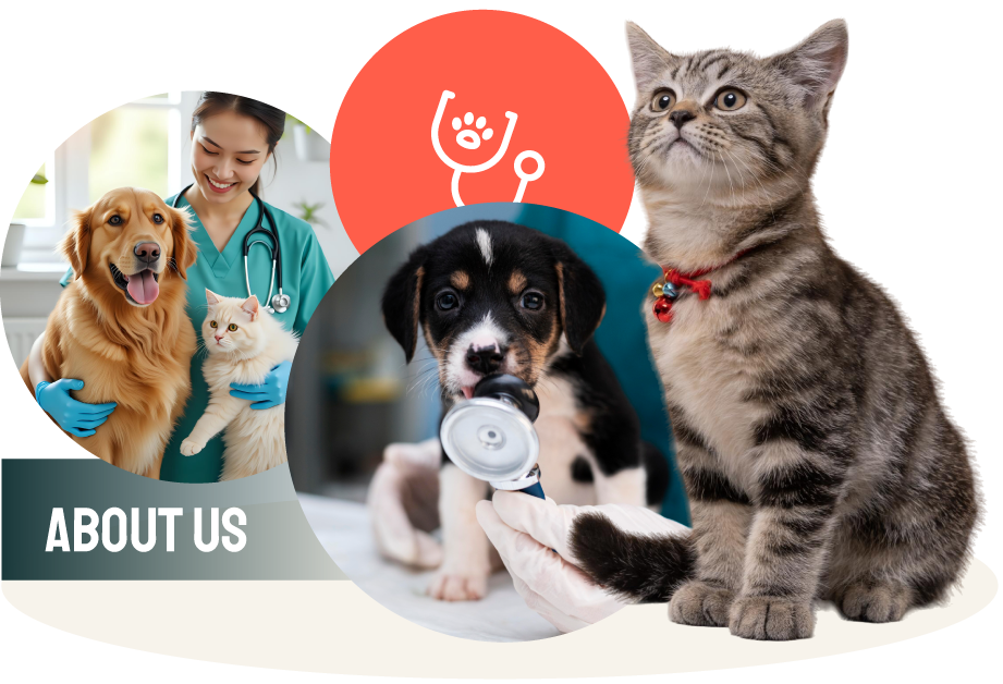 PROFESSIONAL VETERINARY