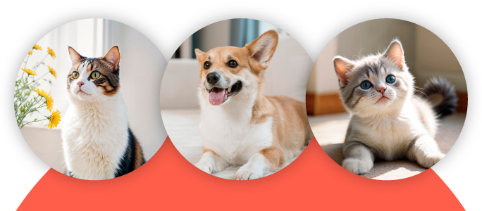 BOOK YOUR PET’S VISIT TODAY