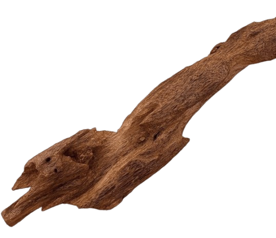 Agarwood resin output reference