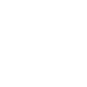 Vision Vision